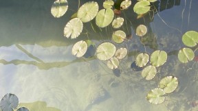 Schwefelbad-Summerfeeling „Saunapark“ Juni bis August